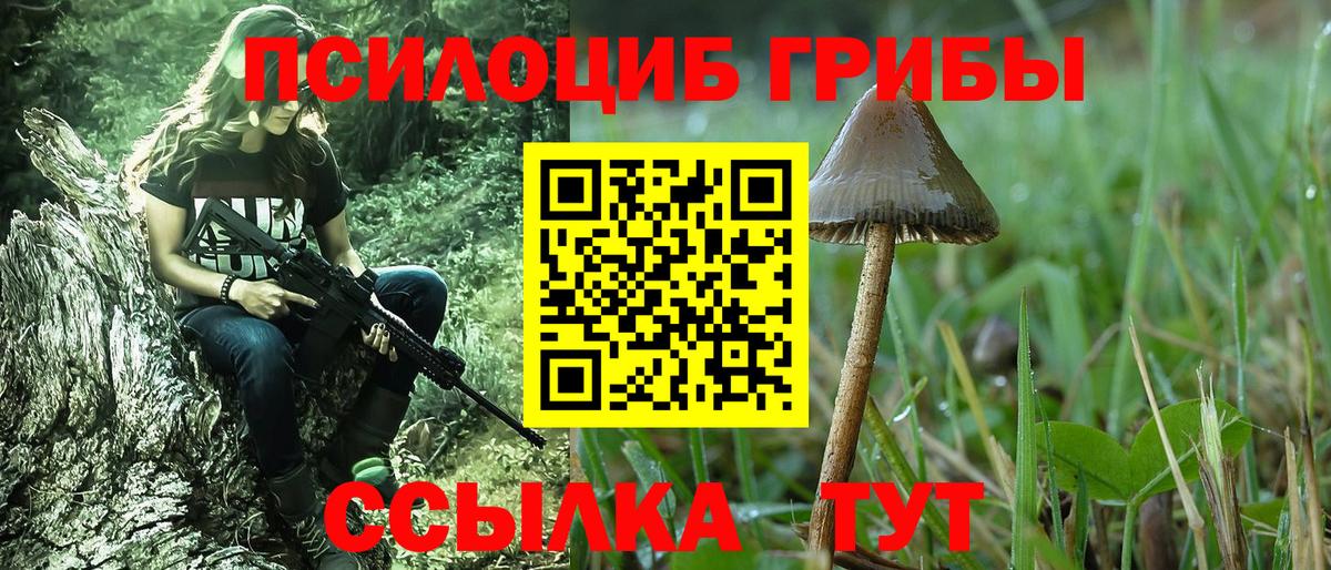 Псилоцибиновые грибы GOLDEN TEACHER Михайловск