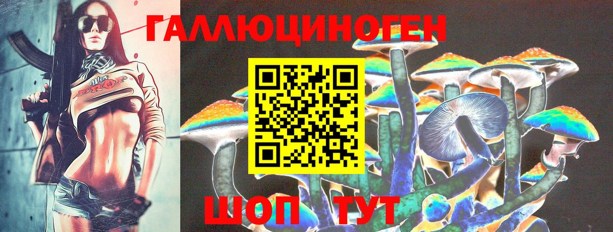 Михайловск  Галлюциногенные грибы прущие грибы  Вход с VPN 